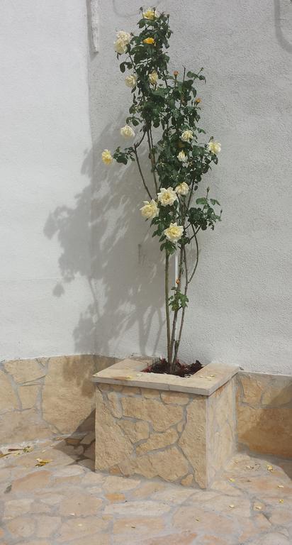 Nina Apartment Split Phòng bức ảnh